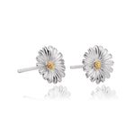 White & Yellow Gold Daisy Earrings